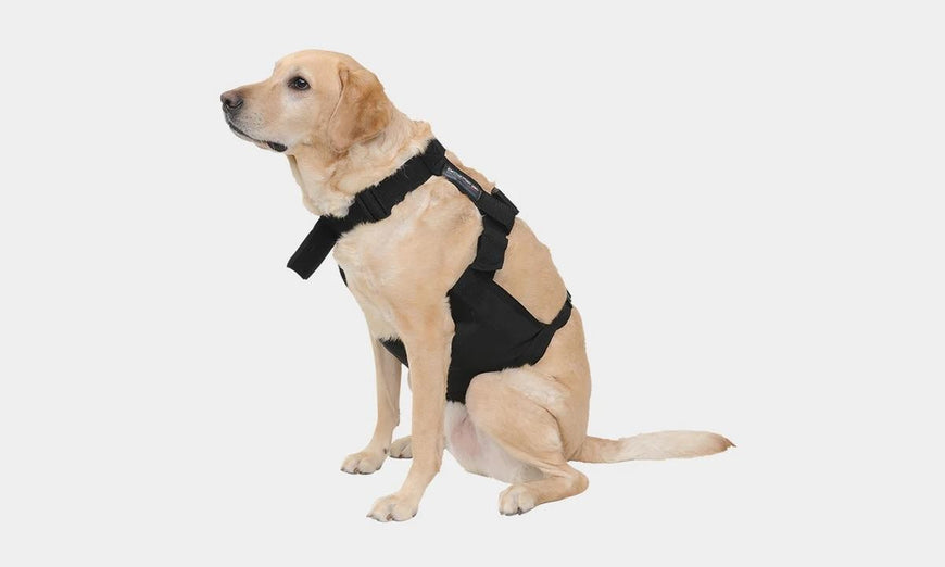 Glacier Tek ChillyDog Cool Vest
