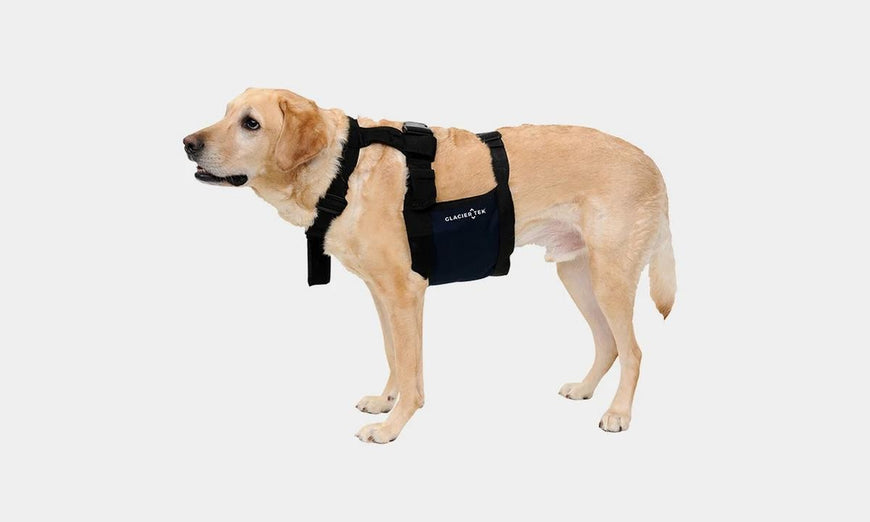 Glacier Tek ChillyDog Cool Vest
