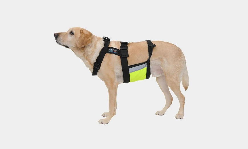 Glacier Tek ChillyDog Cool Vest