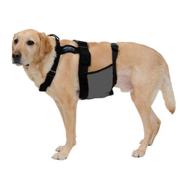Glacier Tek ChillyDog Cool Vest